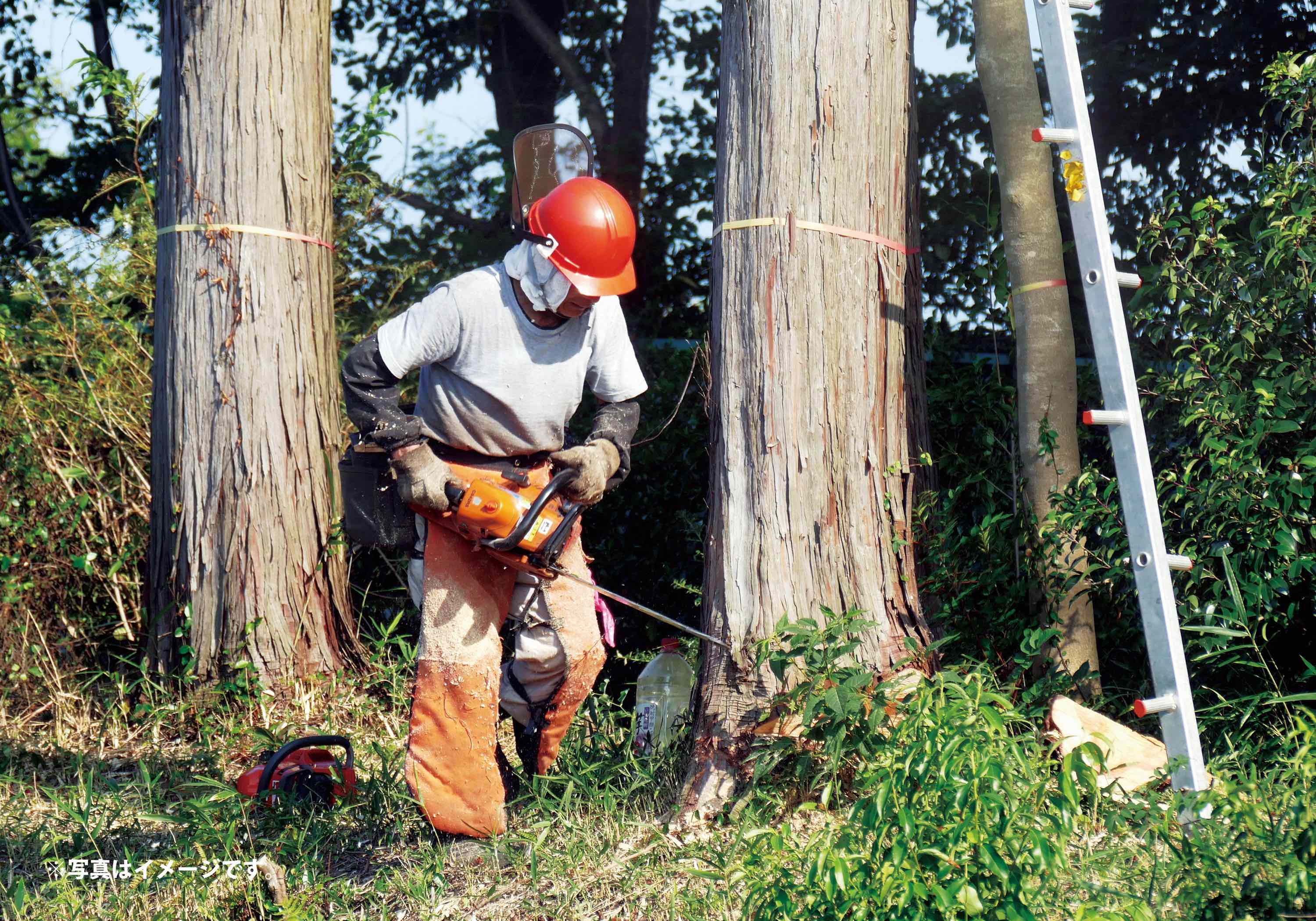 海外-STIHL 上衣 林業作業服• 伐木•作業の安全対策の規制改正